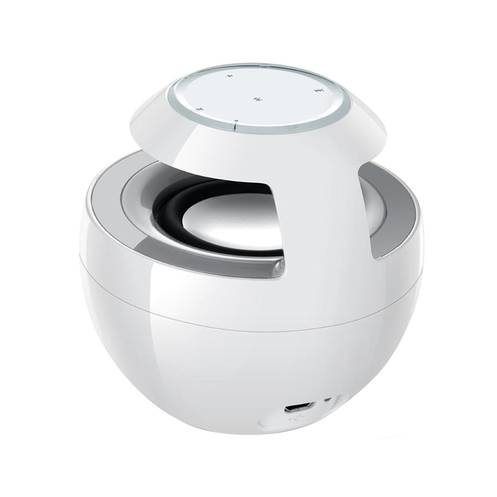 411660448-1 Main image