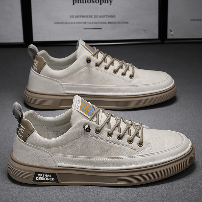 142081853-1 Main image